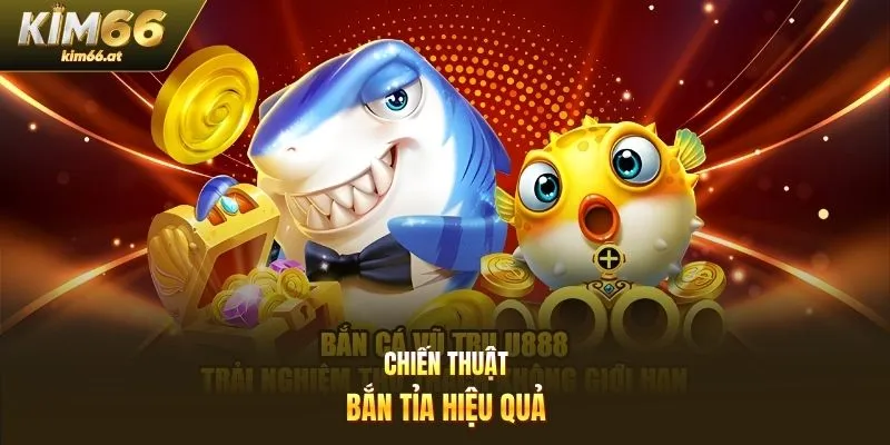 Chiến thuật bắn tỉa hiệu quả