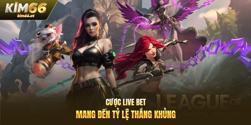 Cược live bet mang đến tỷ lệ thắng khủng